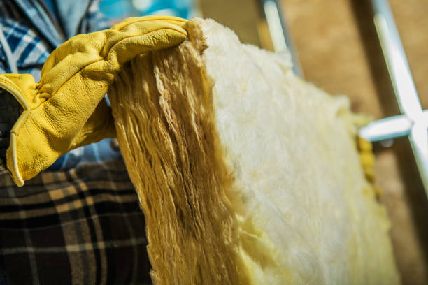 Professional Insulation Contractor in ID